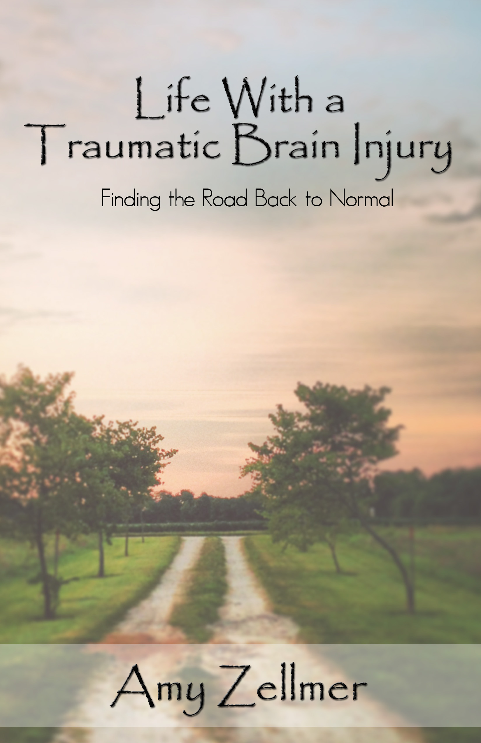 Life With a TBI author